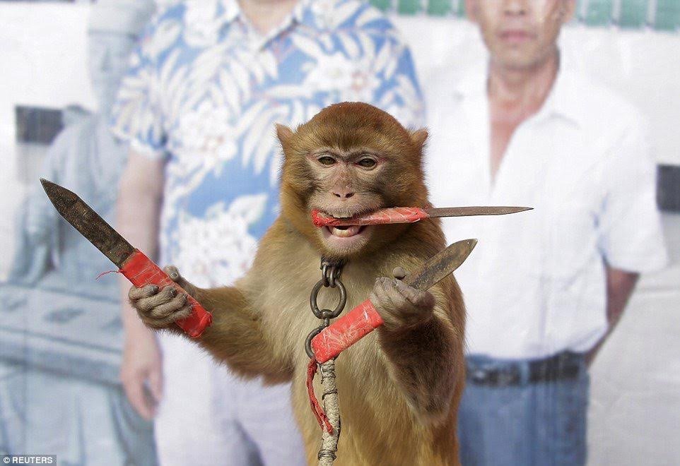 Series Preview – White Sox vs. Twins: Monkey Knife Fight