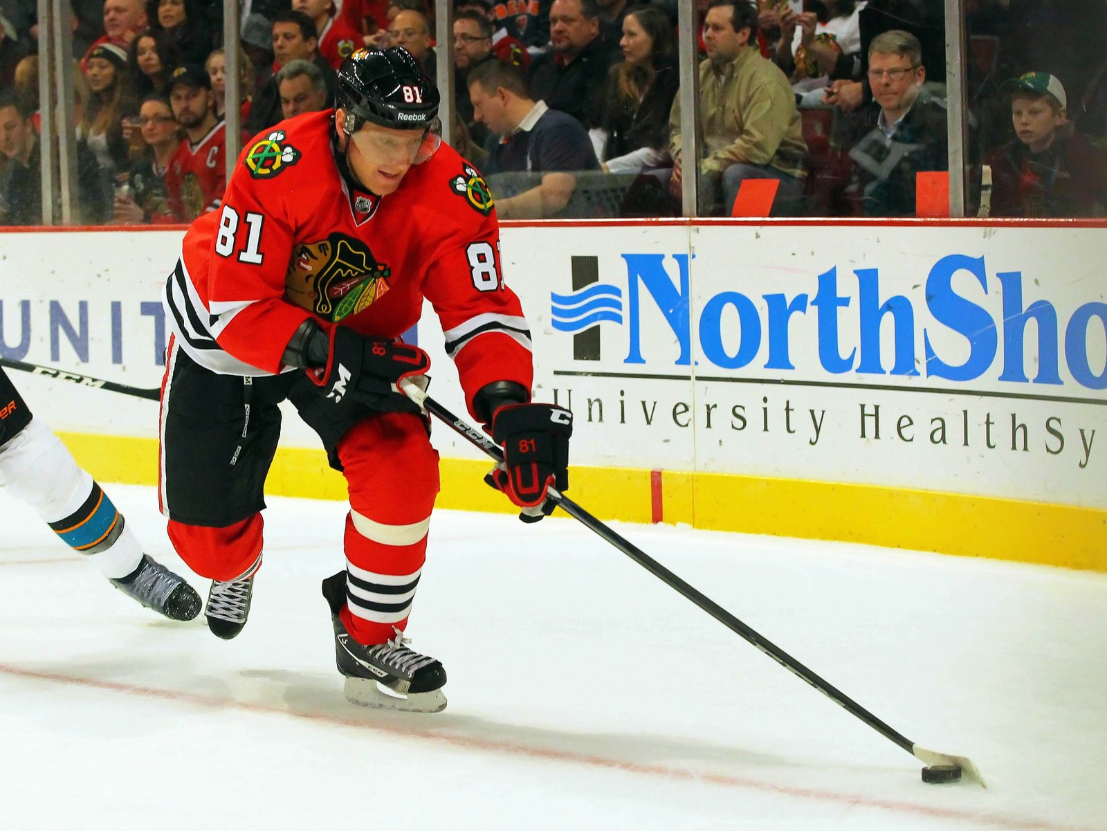 Morning Links 2.19.13