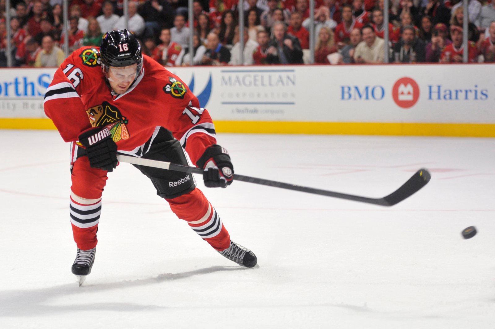 Chasing All the Ants and Worms: Blackhawks 4, Red Wings 1