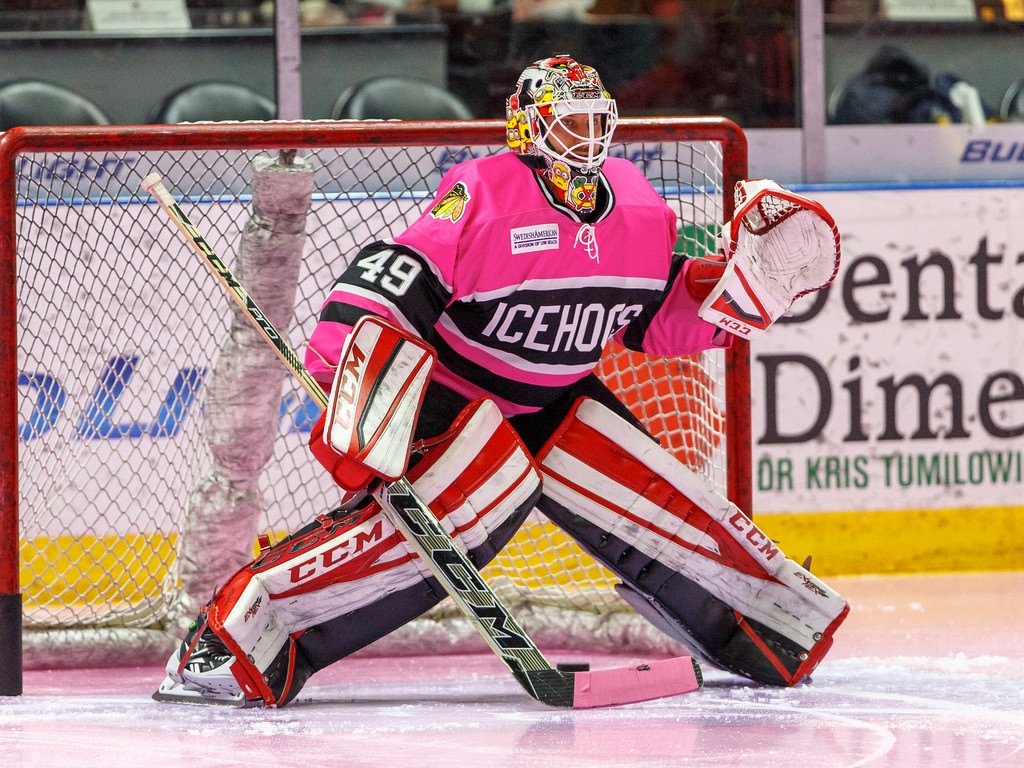 High On The Hog: In The Pink