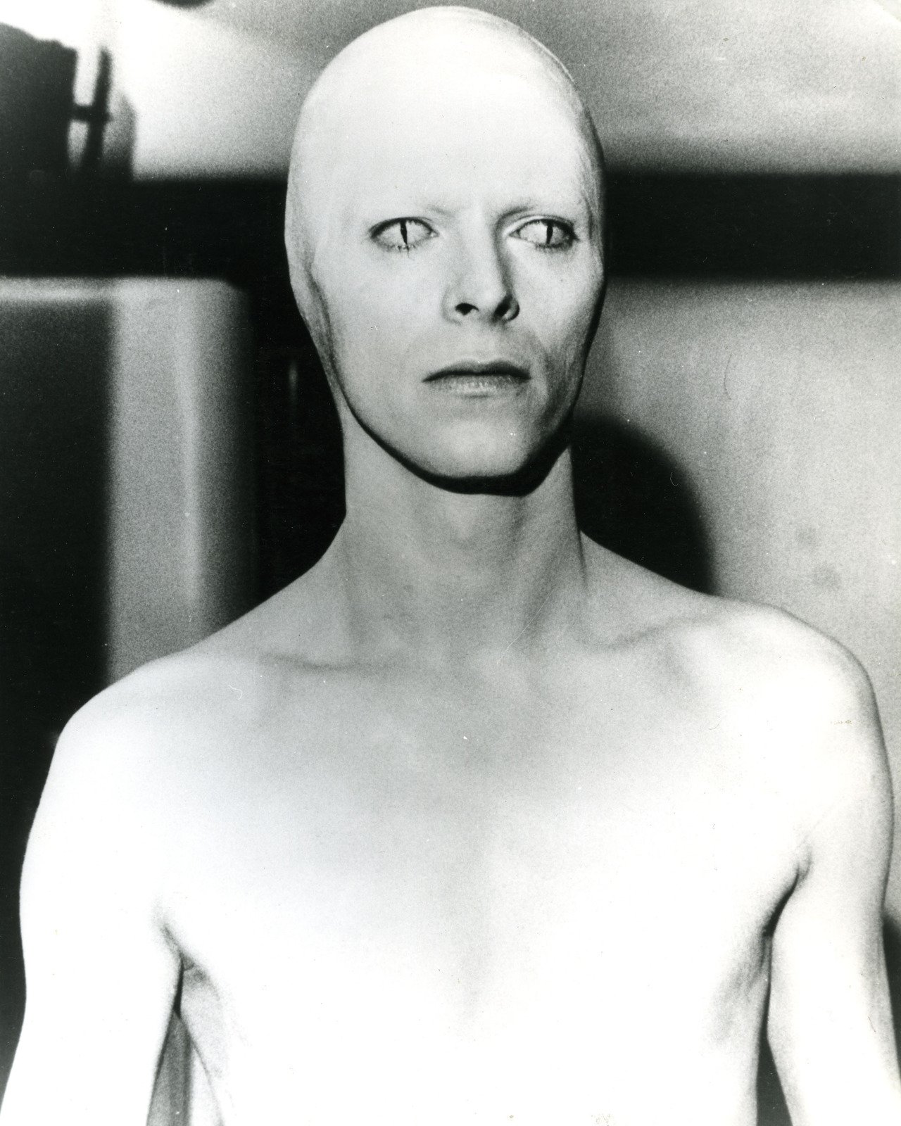 Friday Foofaraw – Bowie Edition