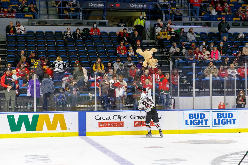 High On The Hog: Toss Up At The BMO