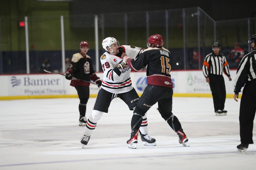 High On The Hog: Sweeping and Scrapping In Tucson