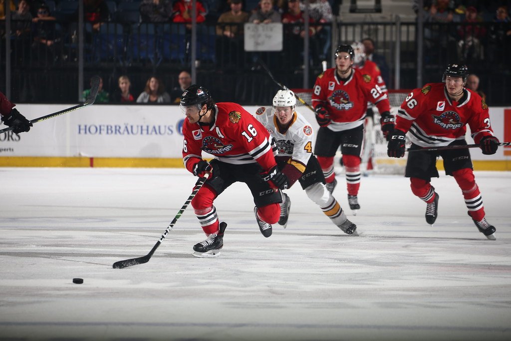 High On The Hog: Who’s Worthy Of AHL Ink?
