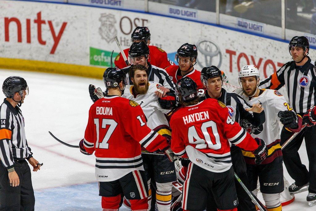 High On The Hog: Playoff Preview