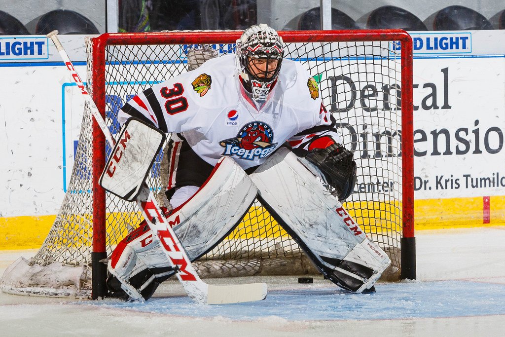 High On The Hog: Goalie Picture Clear As Glass
