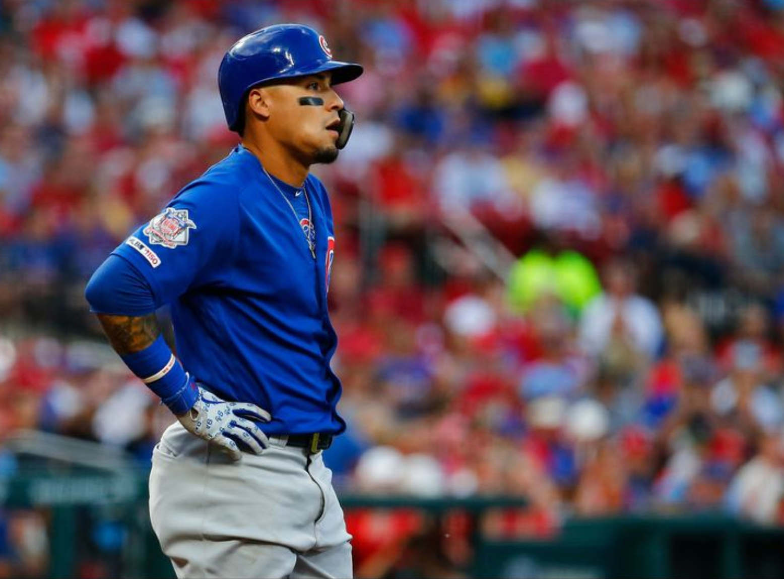 Series Recap – Cubs Lose Two Of Three To Cardinals: The Cows Could Produce A Run By Now