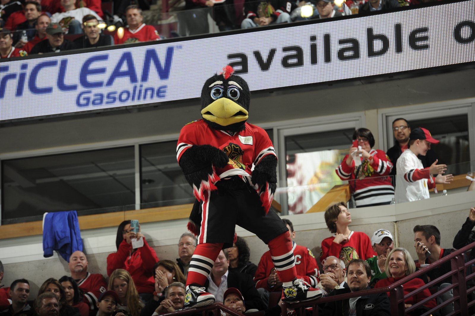 Sigh, Hawks