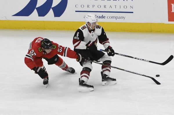 Game #30 Alright in a Sort of a Limited Way for an Off Night – Hawks 3, Coyotes 1