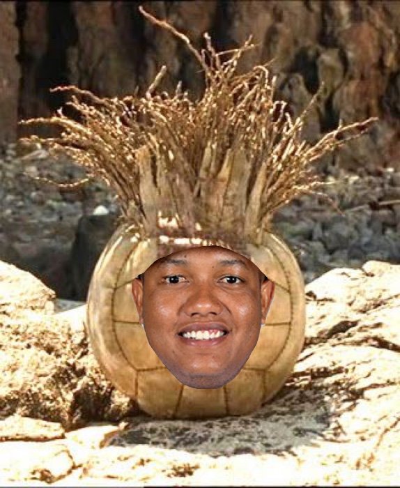 Marlins Spotlight: Castaway